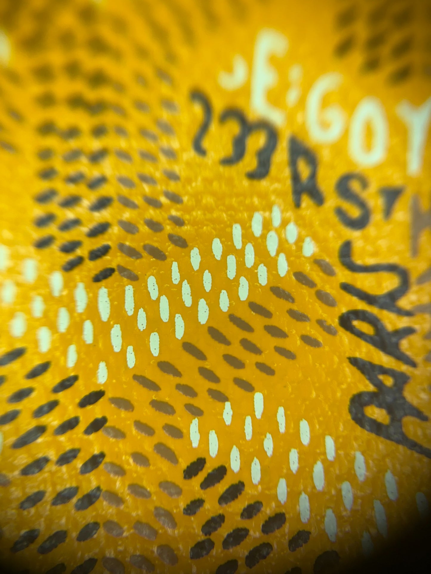 Goyard Plumet Yellow Monogram Multi-Pocket WOC Envelope Crossbody Bag – Retail Price: $2,600 USD