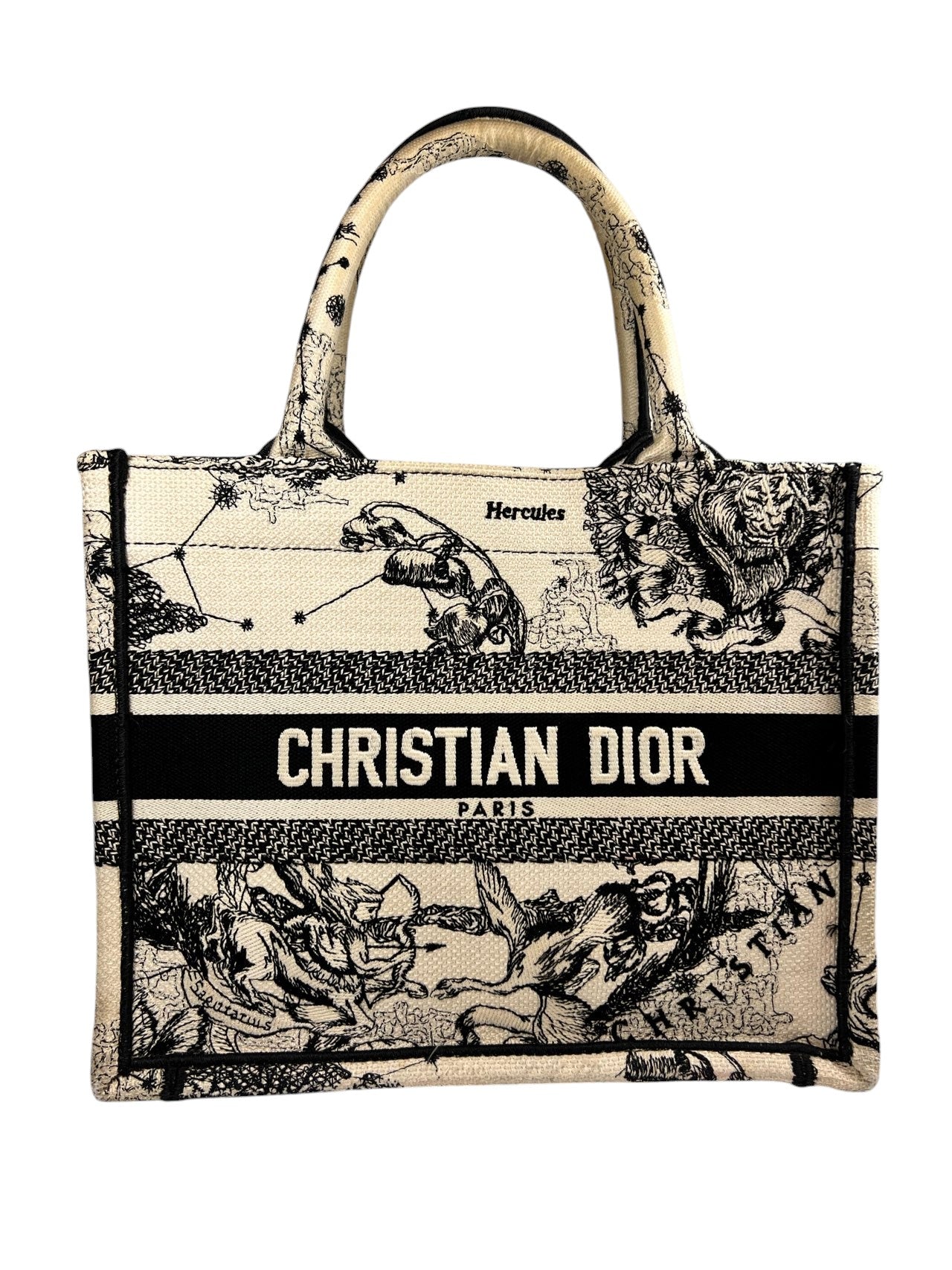 Dior Mini Book Tote in Blue Dior Oblique Embroidery – Retail Price: $2,450