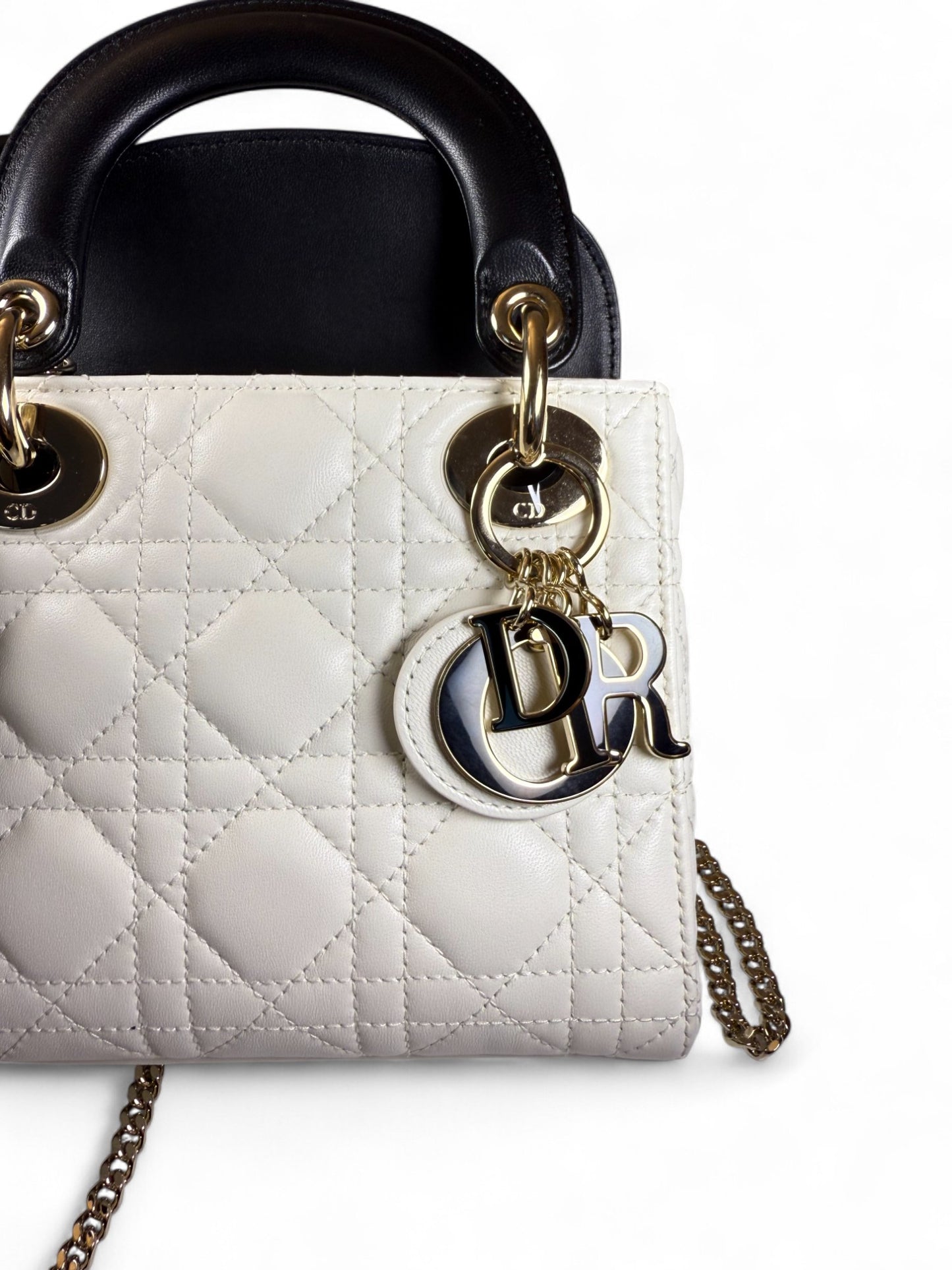 Dior Lady Brand NEW！-Compartment Enamel Bag – Retail Price: $6,100